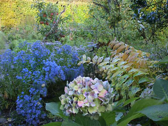 Gartenblick im Herbst