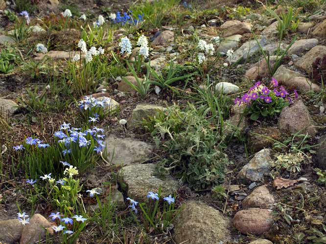 Steingarten mit runden Feldsteinen