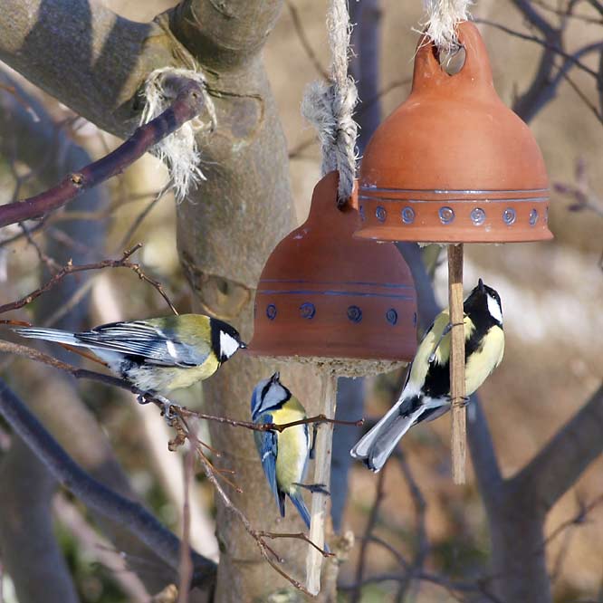 Meisenglocken und Meisen